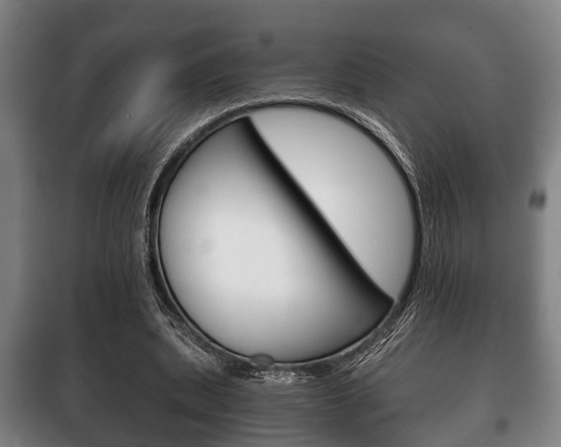 X0000100410439200806060929