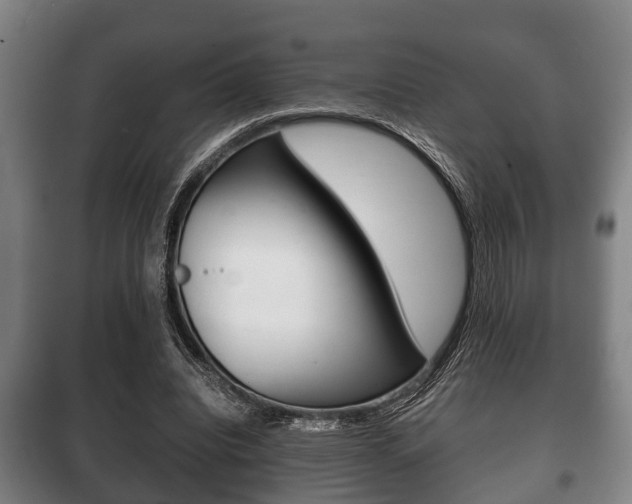 X0000100410440200806060929