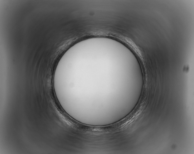 X0000100410441200806060929
