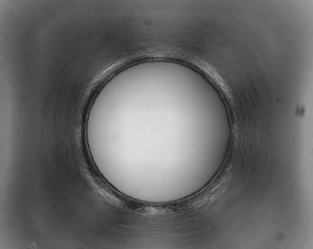 X0000100410442200806060929