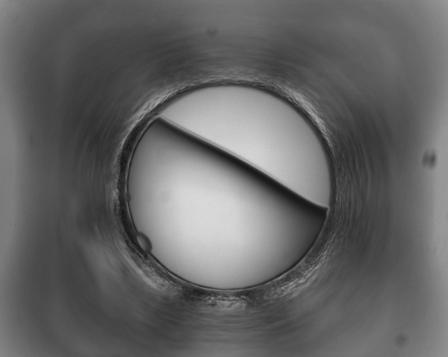 X0000100410443200806060929