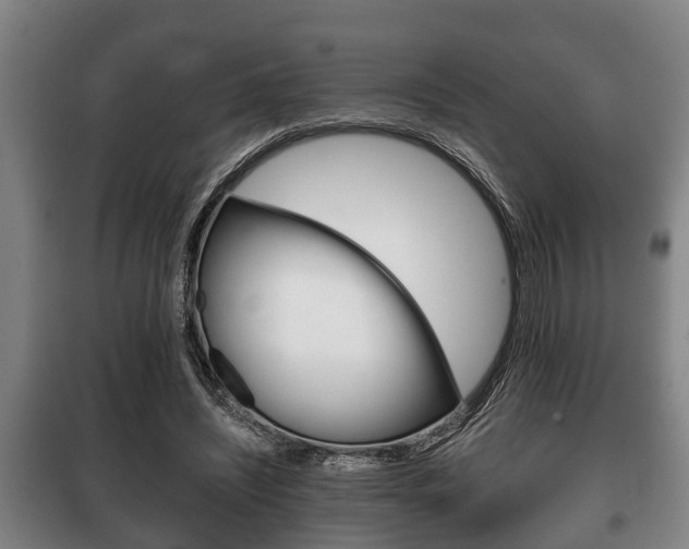 X0000100410444200806060929