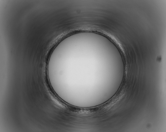 X0000100410445200806060929