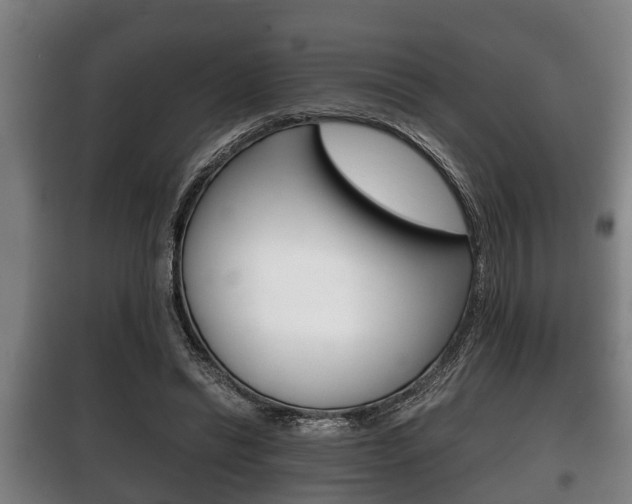 X0000100410446200806060929