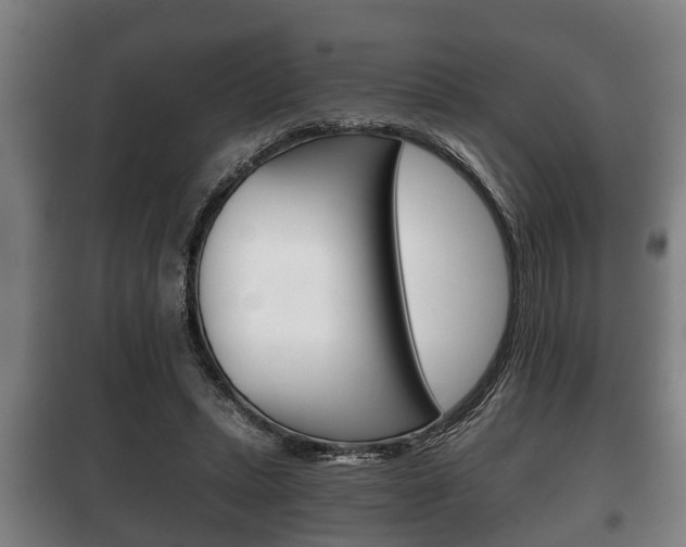 X0000100410447200806060929