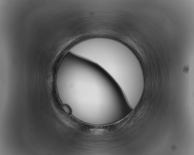 X0000100410448200806060929