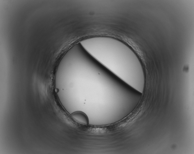 X0000100410449200806060929