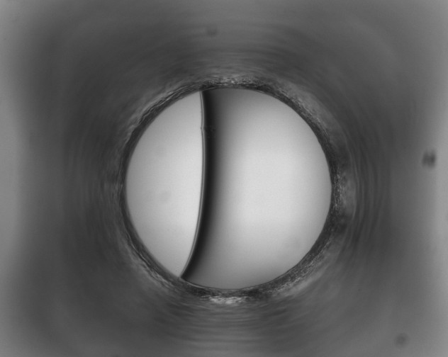 X0000100410450200806060929