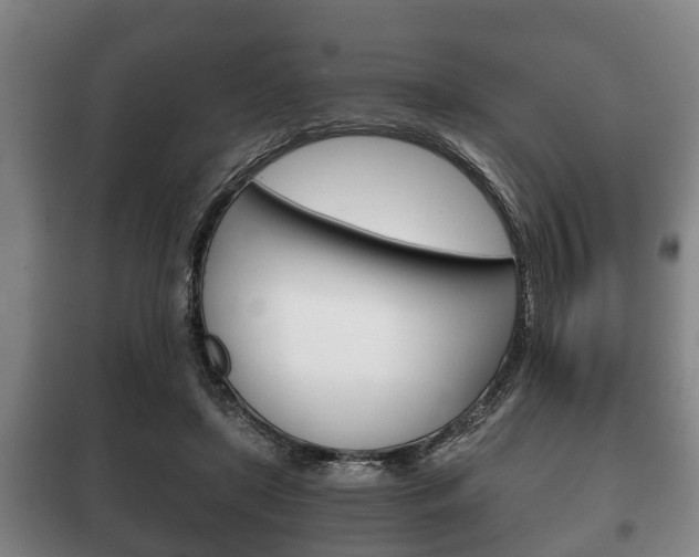 X0000100410451200806060929