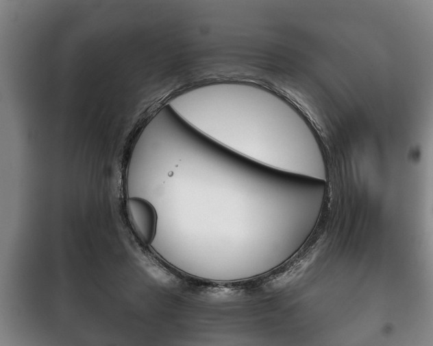 X0000100410453200806060929