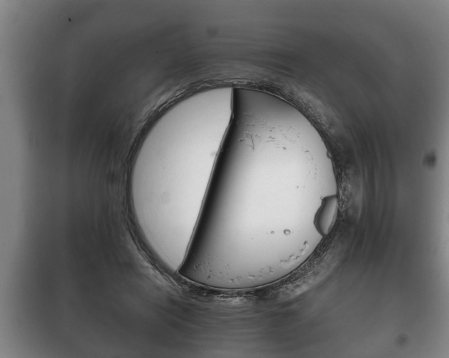 X0000100410454200806060929