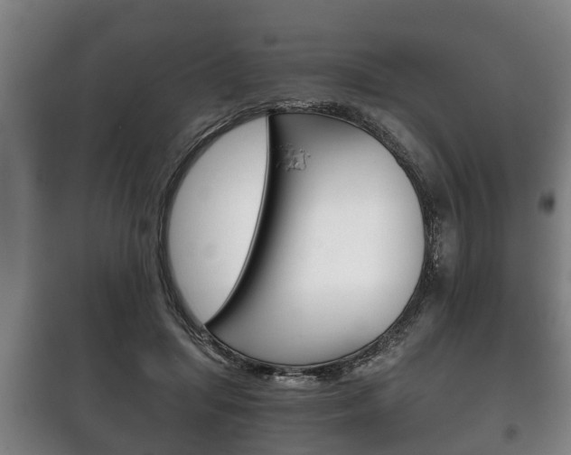 X0000100410455200806060929