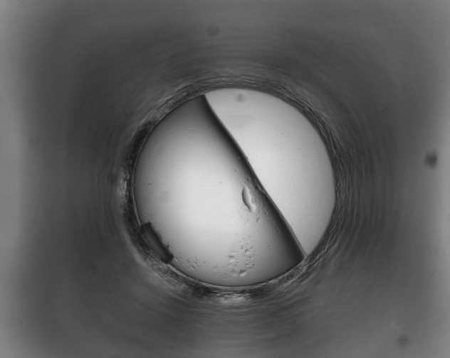 X0000100410456200806060929