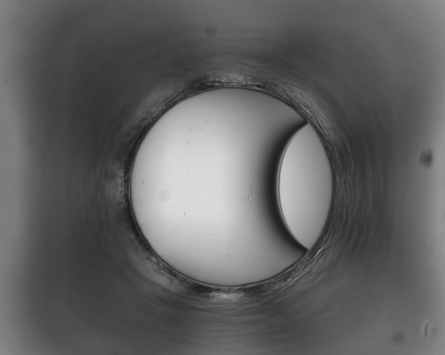X0000100410457200806060929