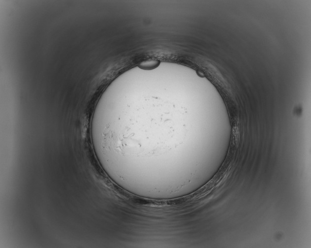 X0000100410458200806060929