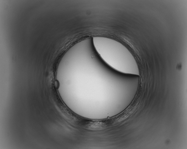 X0000100410459200806060929