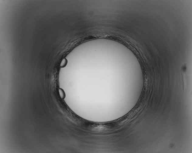 X0000100410460200806060929