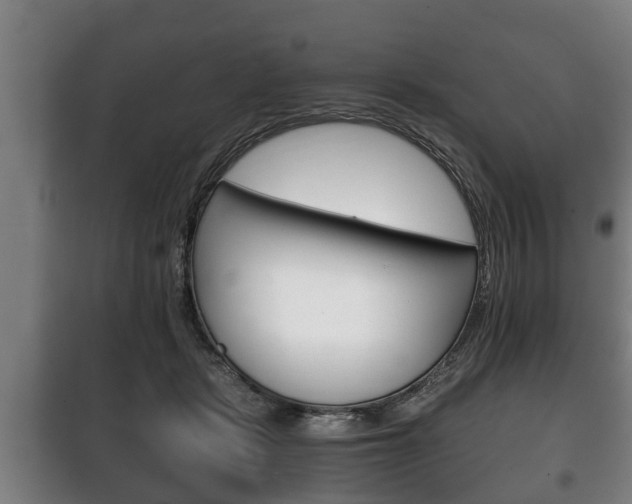 X0000100410461200806060929