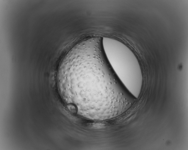 X0000100410462200806060929