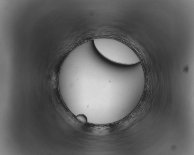 X0000100410465200806060929