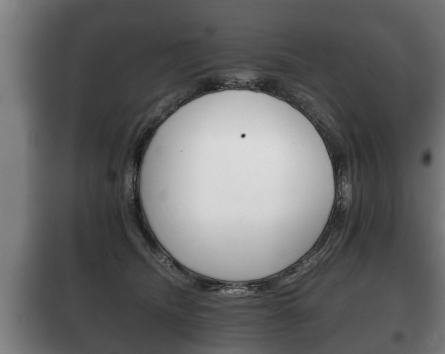 X0000100410468200806060929