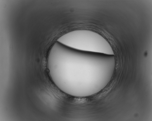 X0000100410469200806060929