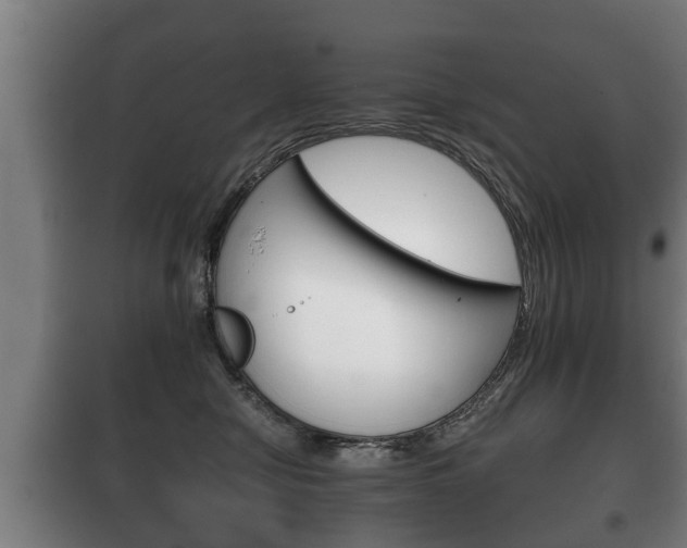 X0000100410470200806060929