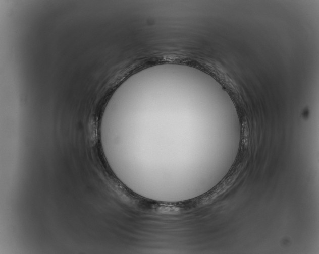 X0000100410471200806060929