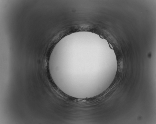 X0000100410472200806060929