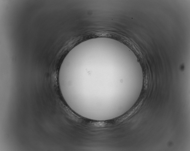 X0000100410473200806060929