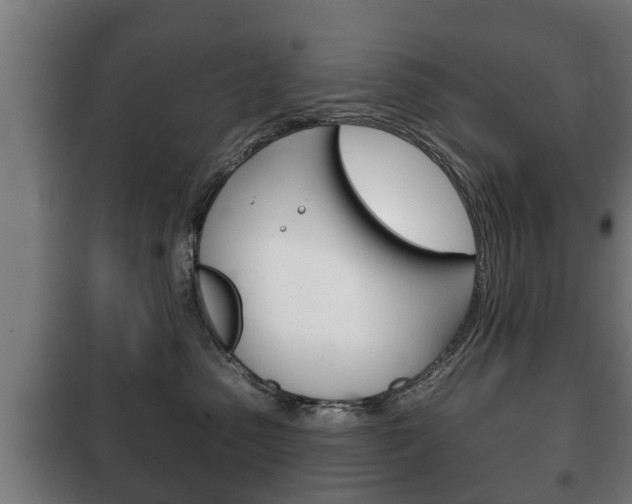 X0000100410475200806060929