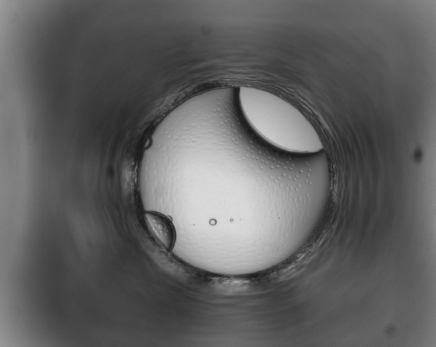 X0000100410476200806060929