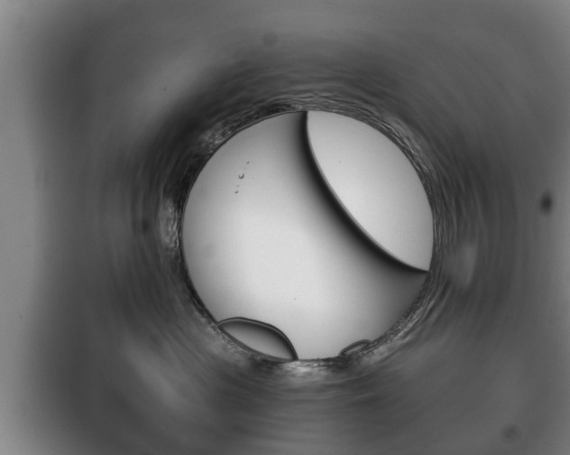 X0000100410477200806060929
