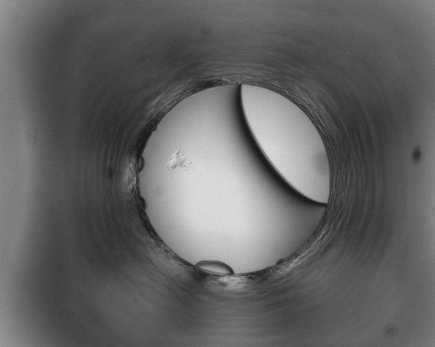 X0000100410478200806060929