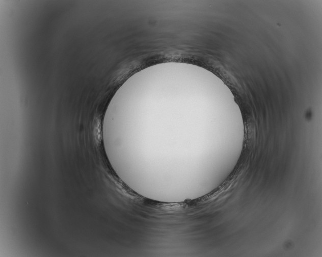 X0000100410479200806060929