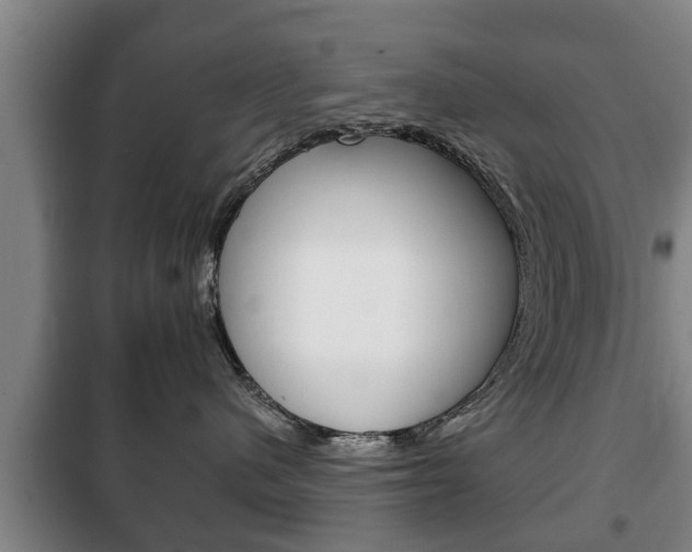 X0000100410480200806060929