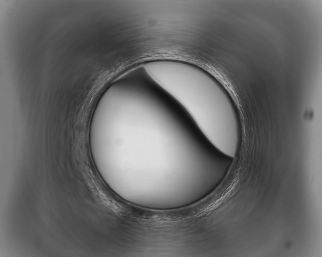 X0000100410481200806060928