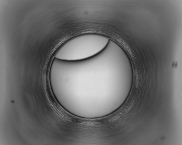 X0000100410482200806060928