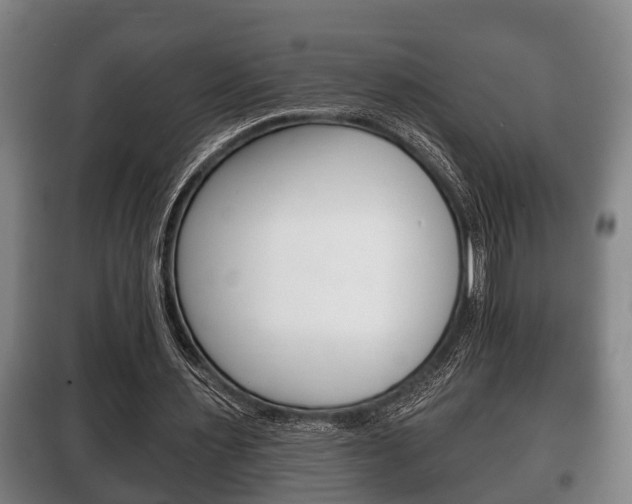 X0000100410483200806060928