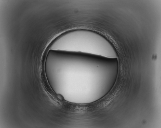 X0000100410484200806060928