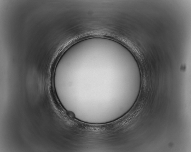 X0000100410486200806060928