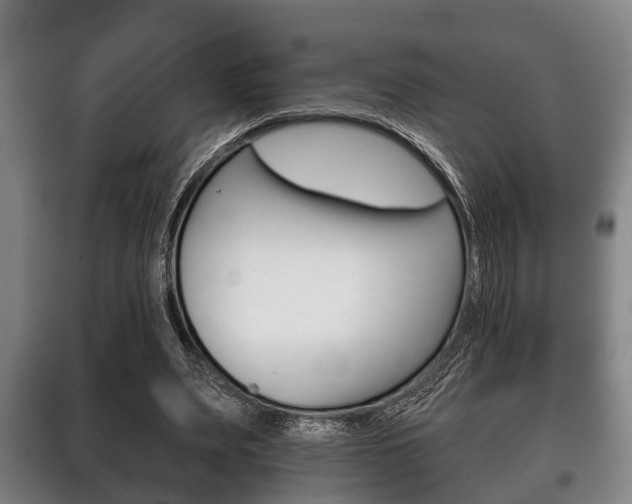 X0000100410487200806060928