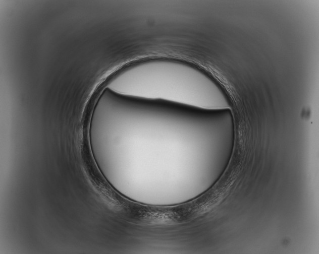 X0000100410488200806060928
