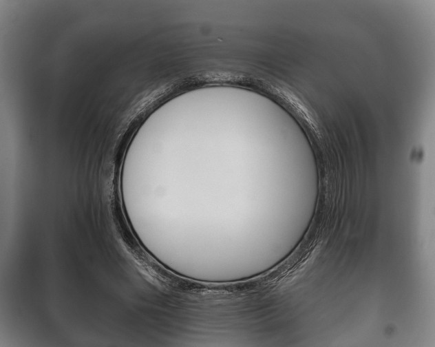 X0000100410490200806060928