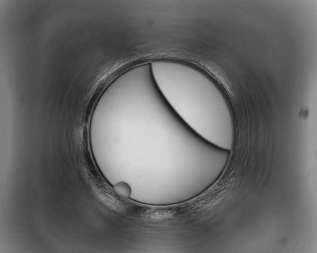 X0000100410491200806060928