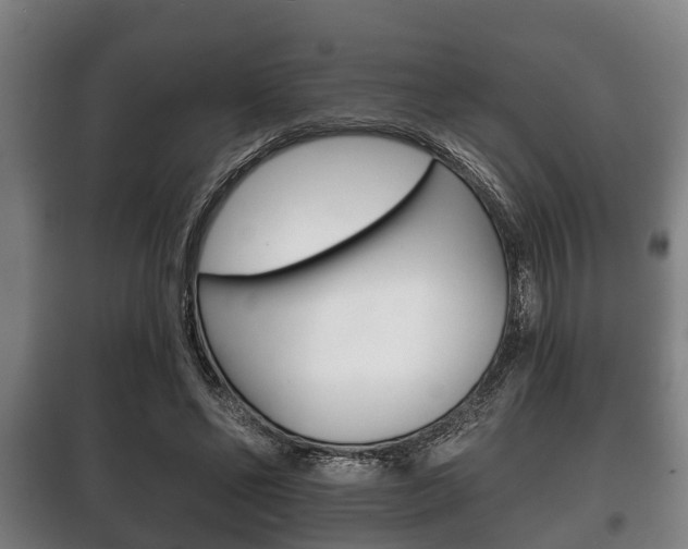 X0000100410494200806060928