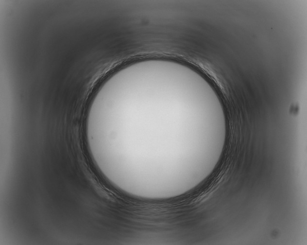 X0000100410495200806060928