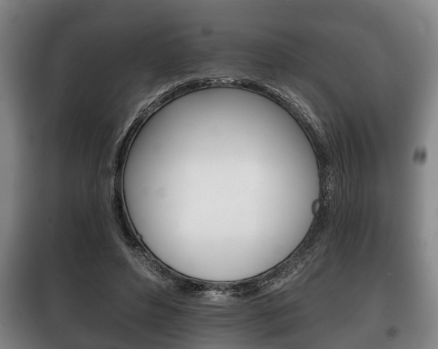 X0000100410496200806060928