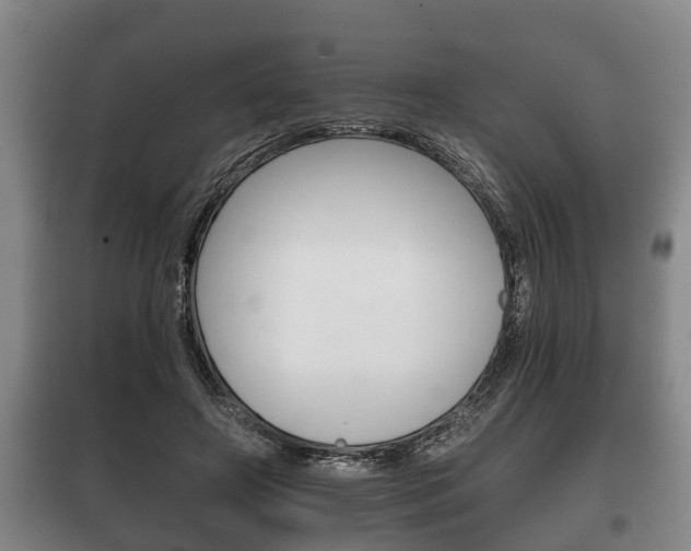 X0000100410498200806060928