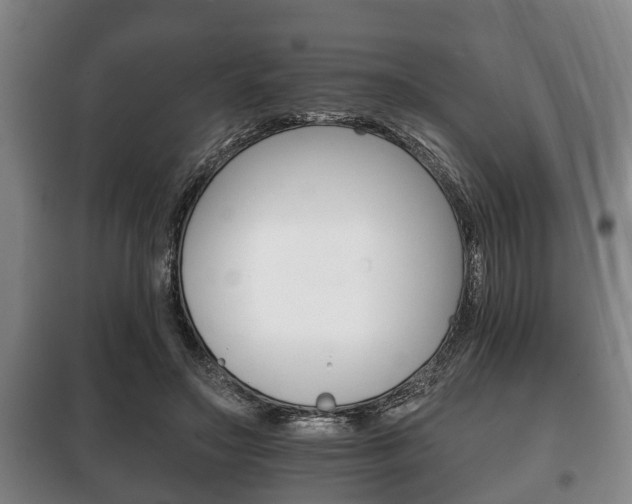X0000100410499200806060928